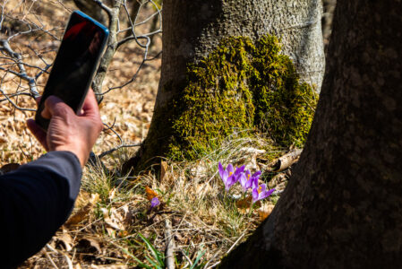 ESCURSIONE FOTOGRAFICA AL PARCO DEI LAGHI  DOMENICA 4 MAGGIO