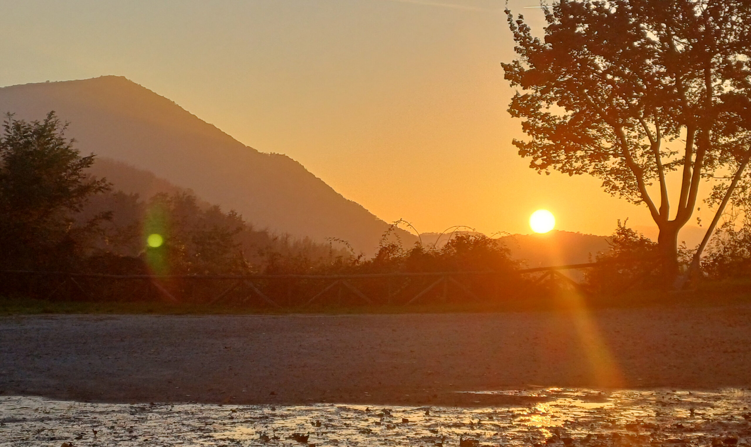 IL MONTE DEL SOLE  DOMENICA 8 GIUGNO