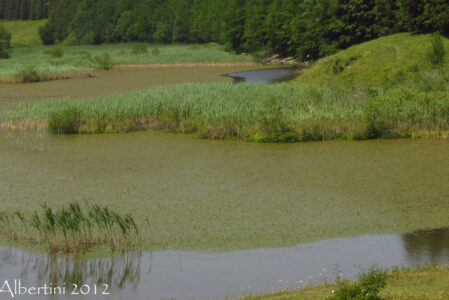 CREPUSCOLI SONORI AL LAGO DI PRATIGNANO  DOMENICA 27 LUGLIO