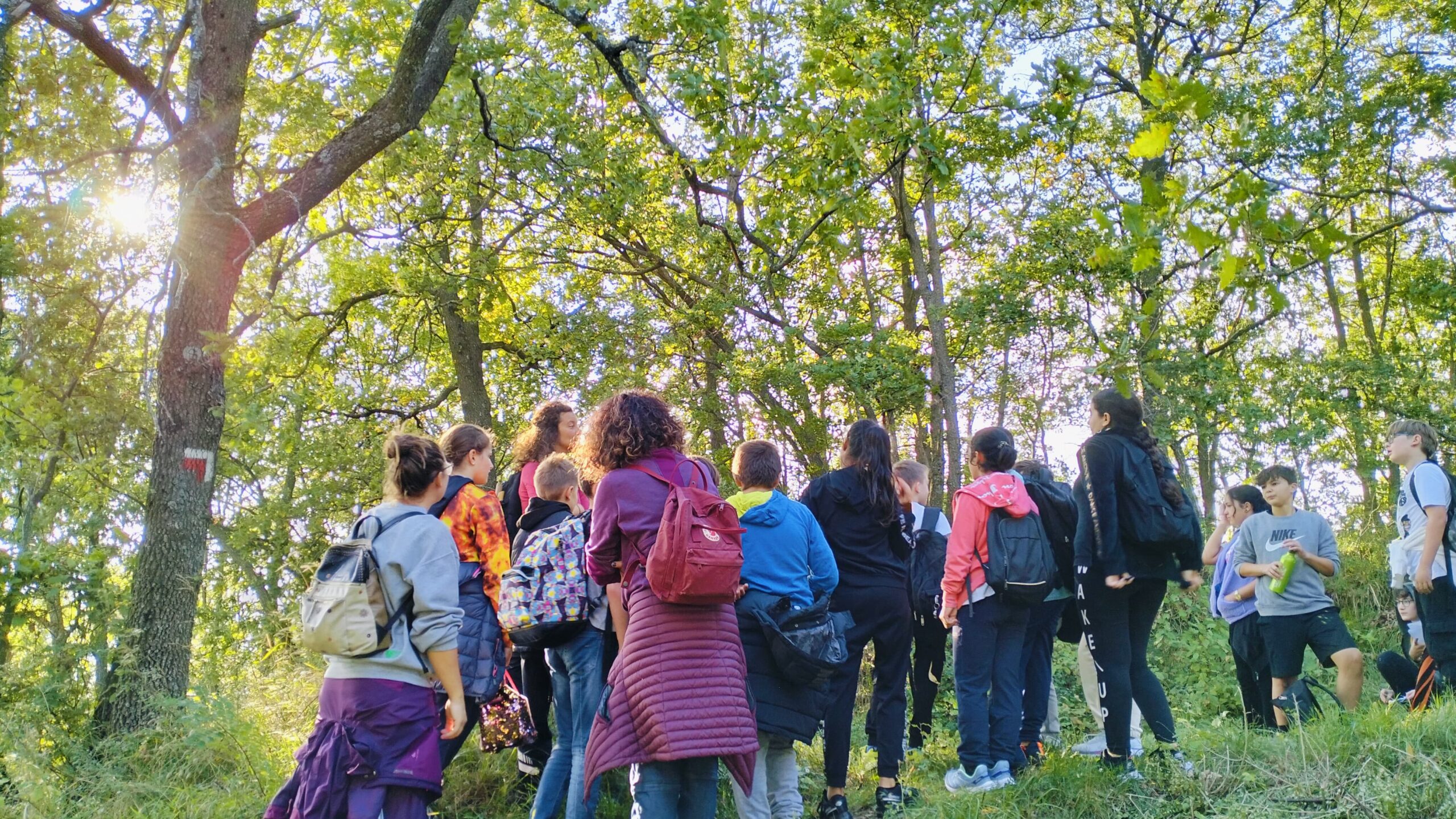 UN’AVVENTURA NEL VERDE – PICCOLE GUIDE IN APPENNINO 2025