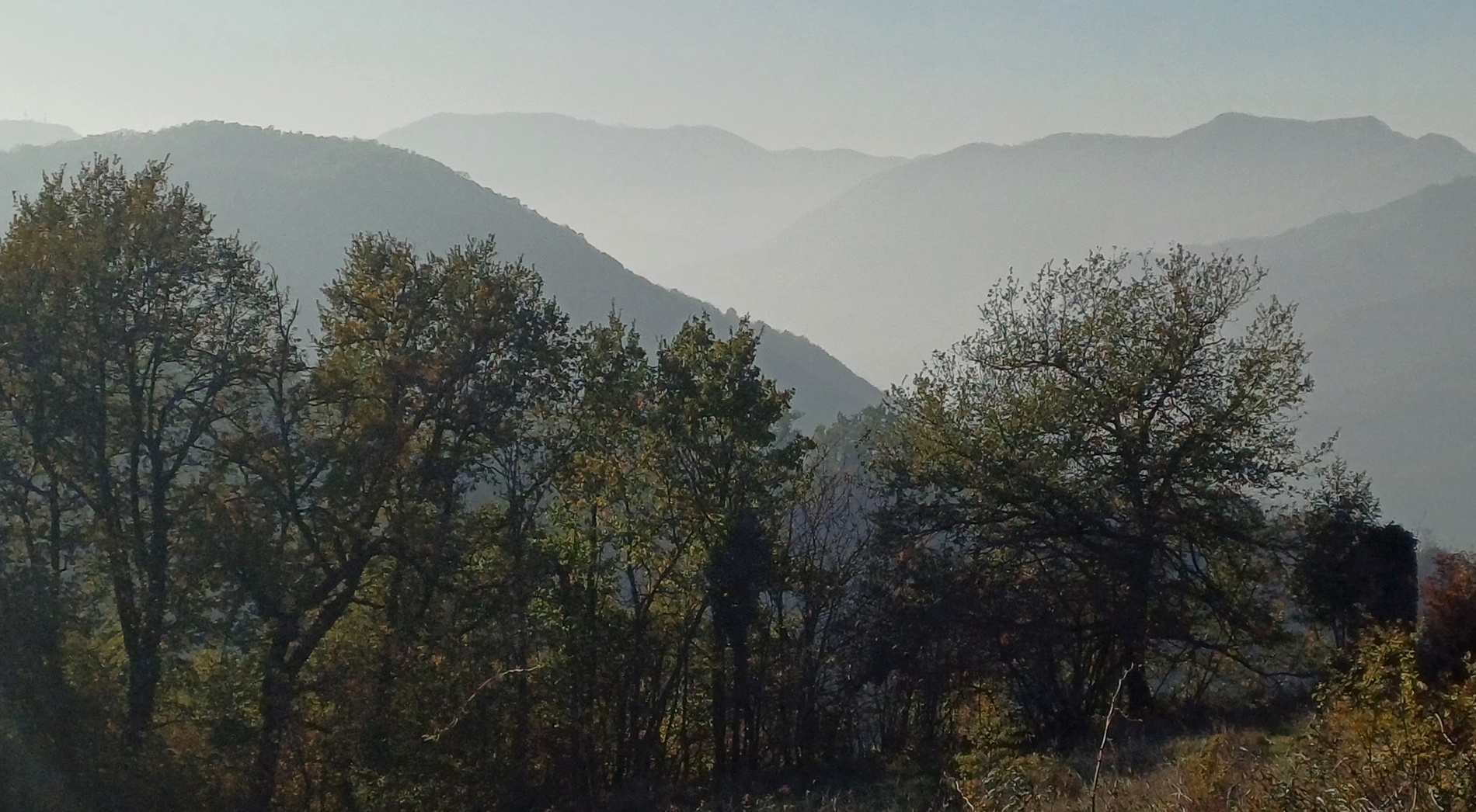 CREPUSCOLI SONORI AL BOSCO DEL PORANCETO  DOMENICA 24 AGOSTO