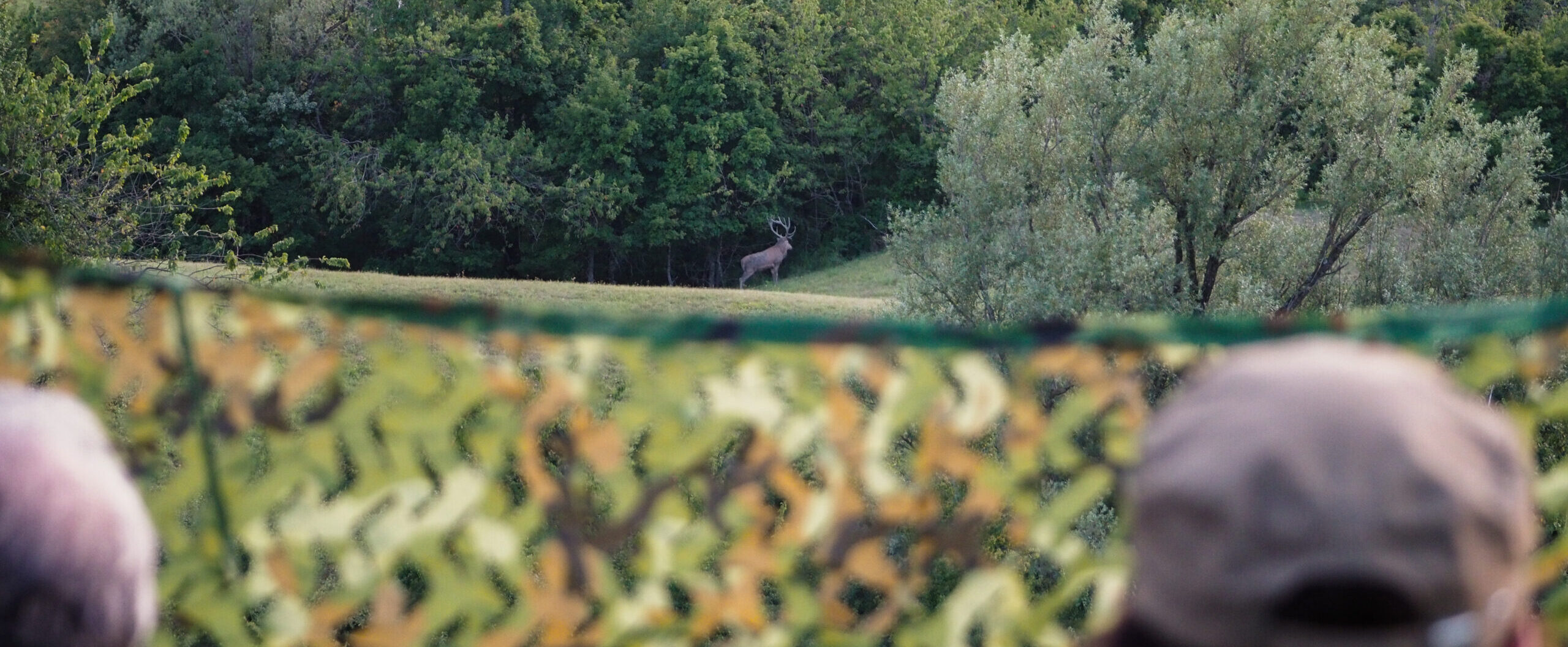 ESCURSIONE CON APPOSTAMENTO AL PARCO DEI LAGHI  SABATO 30 AGOSTO