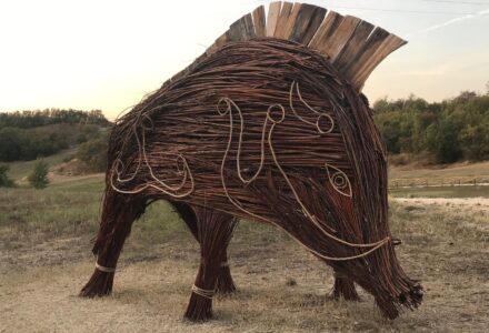 IL CINGHIALE CELTICO <br/> DOMENICA 7 DICEMBRE