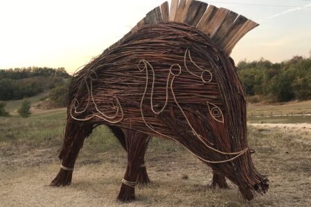IL CINGHIALE CELTICO  DOMENICA 7 DICEMBRE