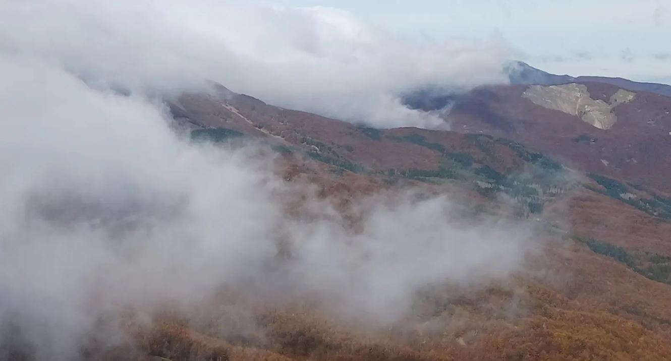 TRA BOSCHI E FORESTE  SABATO 4 OTTOBRE