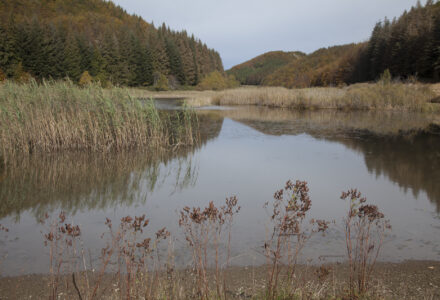 IL FASCINO DEL LAGO DI PRATIGNANO <br/> LUNEDÌ 29 DICEMBRE
