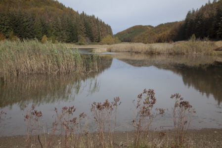 IL FASCINO DEL LAGO DI PRATIGNANO  LUNEDÌ 29 DICEMBRE
