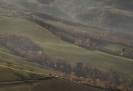 SAPORI D’AUTUNNO <br/> DOMENICA 4 OTTOBRE