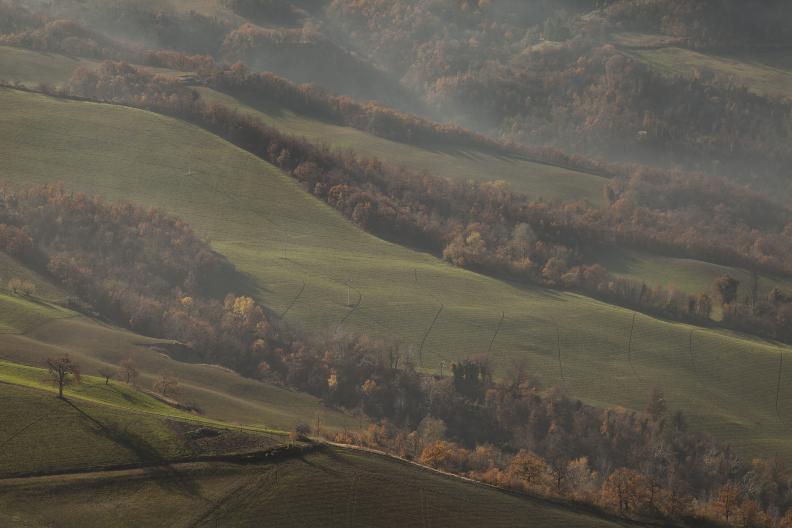 SAPORI D’AUTUNNO  DOMENICA 4 OTTOBRE