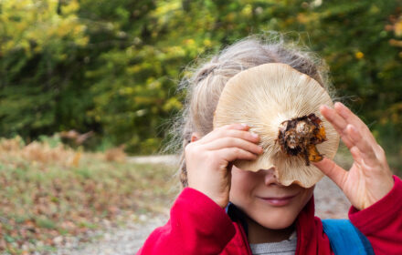 I FUNGHI E I SENSI <br/> DOMENICA 11 OTTOBRE