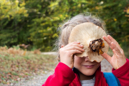 I FUNGHI E I SENSI  DOMENICA 11 OTTOBRE
