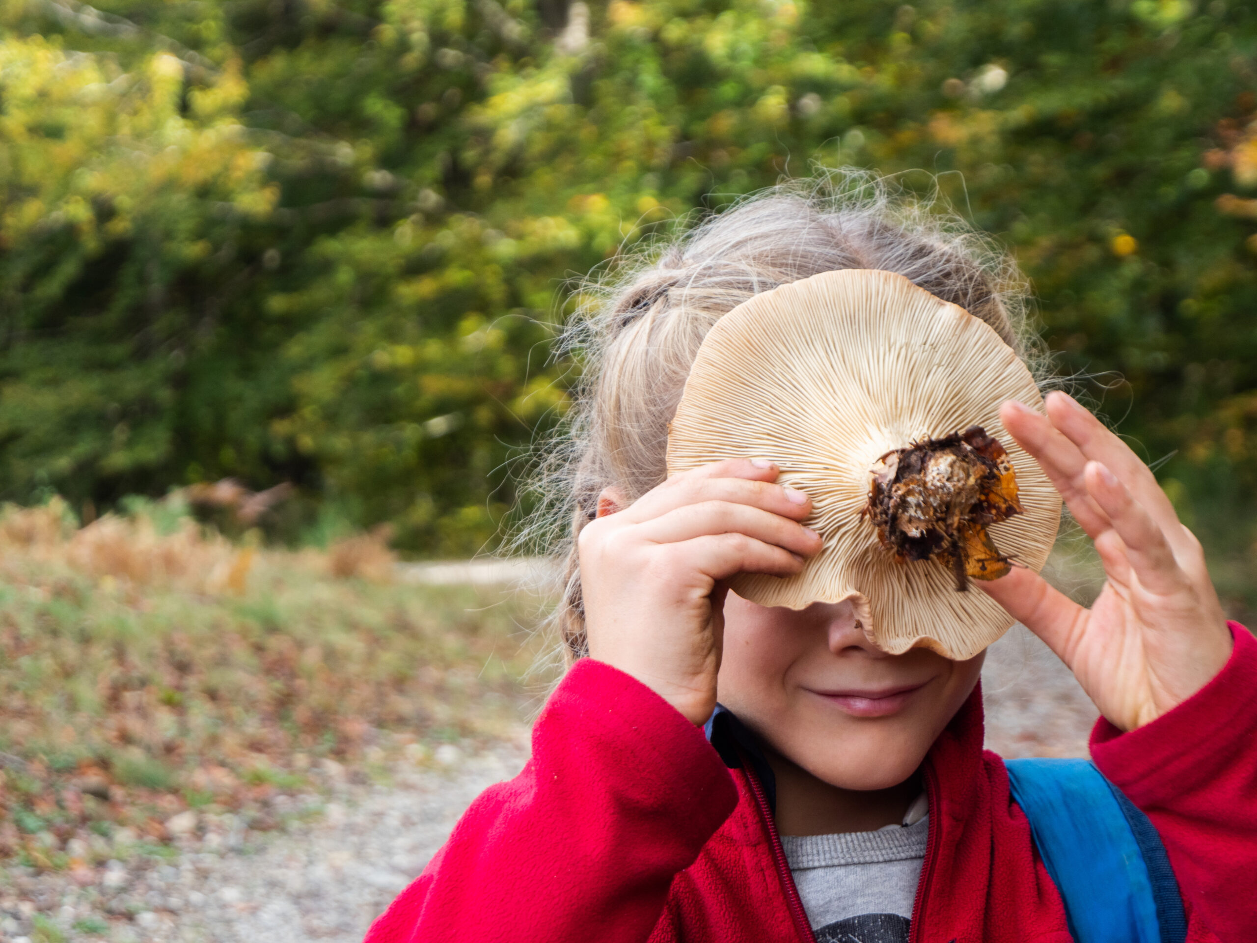 I FUNGHI E I SENSI  DOMENICA 11 OTTOBRE