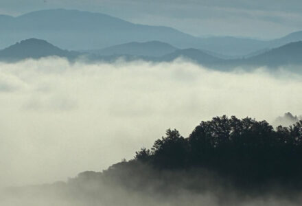 FASCINO D’AUTUNNO <br/> DOMENICA 29 NOVEMBRE
